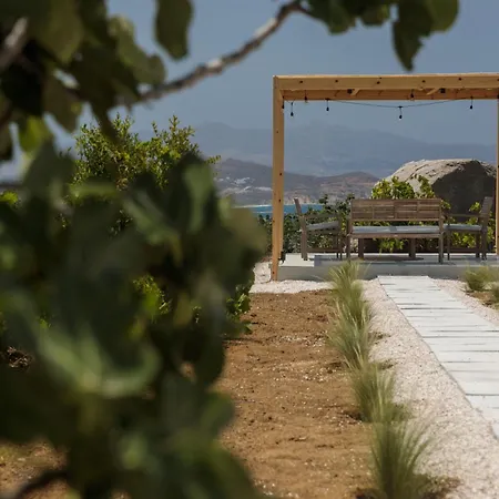 Jannas Naxos *